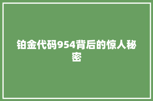 铂金代码954背后的惊人秘密