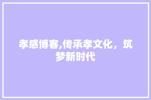 孝感博客,传承孝文化，筑梦新时代