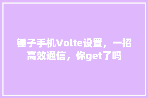 锤子手机Volte设置，一招高效通信，你get了吗
