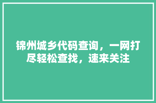 锦州城乡代码查询，一网打尽轻松查找，速来关注