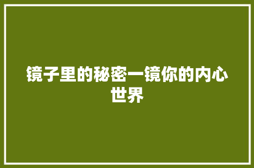 镜子里的秘密一镜你的内心世界