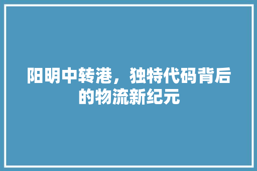 阳明中转港，独特代码背后的物流新纪元