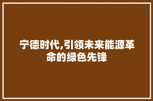 宁德时代,引领未来能源革命的绿色先锋