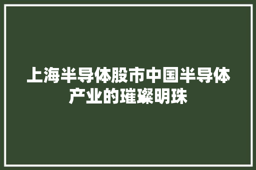 上海半导体股市中国半导体产业的璀璨明珠