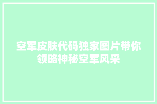 空军皮肤代码独家图片带你领略神秘空军风采
