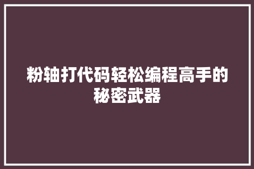 粉轴打代码轻松编程高手的秘密武器