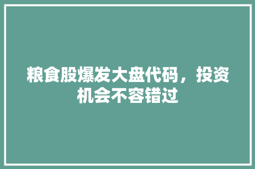 粮食股爆发大盘代码，投资机会不容错过