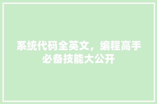 系统代码全英文，编程高手必备技能大公开