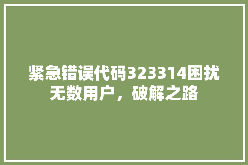 紧急错误代码323314困扰无数用户，破解之路
