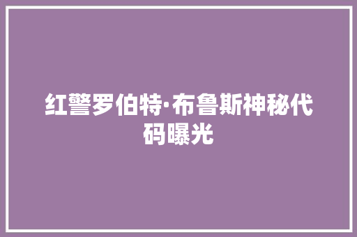 红警罗伯特·布鲁斯神秘代码曝光