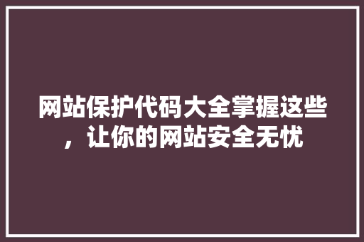 网站保护代码大全掌握这些，让你的网站安全无忧