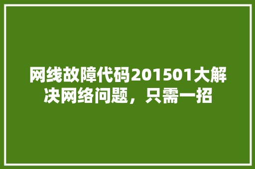 网线故障代码201501大解决网络问题，只需一招