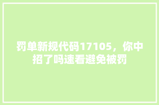 罚单新规代码17105，你中招了吗速看避免被罚