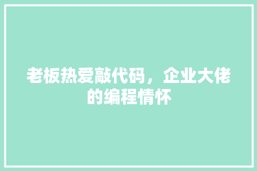 老板热爱敲代码，企业大佬的编程情怀