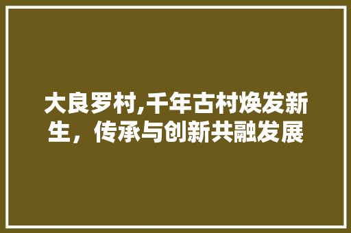大良罗村,千年古村焕发新生，传承与创新共融发展
