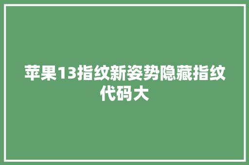 苹果13指纹新姿势隐藏指纹代码大