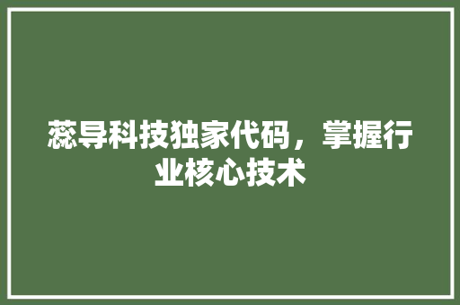 蕊导科技独家代码，掌握行业核心技术