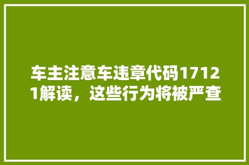 车主注意车违章代码17121解读，这些行为将被严查