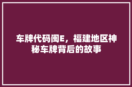 车牌代码闽E，福建地区神秘车牌背后的故事