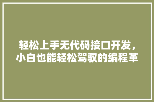 轻松上手无代码接口开发，小白也能轻松驾驭的编程革命
