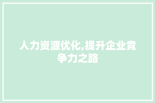 人力资源优化,提升企业竞争力之路