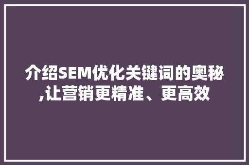 介绍SEM优化关键词的奥秘,让营销更精准、更高效
