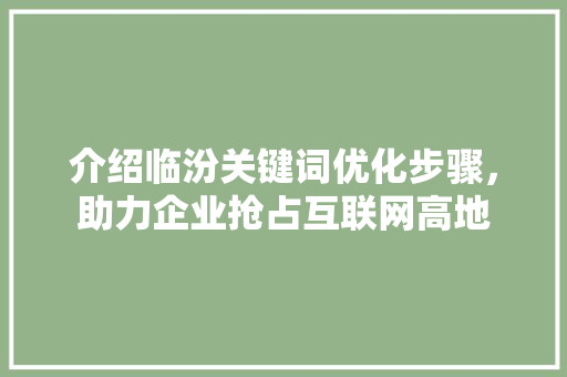 介绍临汾关键词优化步骤，助力企业抢占互联网高地