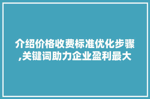 介绍价格收费标准优化步骤,关键词助力企业盈利最大化