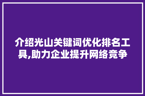 介绍光山关键词优化排名工具,助力企业提升网络竞争力