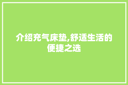 介绍充气床垫,舒适生活的便捷之选