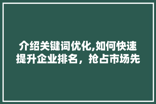 介绍关键词优化,如何快速提升企业排名，抢占市场先机