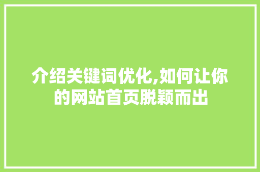 介绍关键词优化,如何让你的网站首页脱颖而出