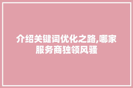 介绍关键词优化之路,哪家服务商独领风骚