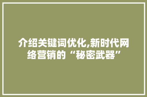 介绍关键词优化,新时代网络营销的“秘密武器”