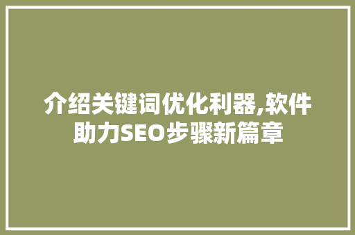 介绍关键词优化利器,软件助力SEO步骤新篇章