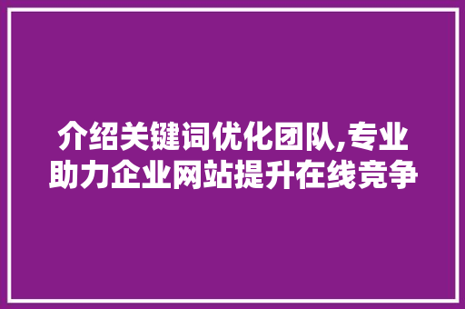 介绍关键词优化团队,专业助力企业网站提升在线竞争力