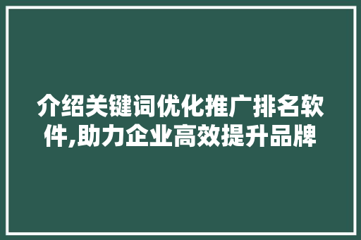 介绍关键词优化推广排名软件,助力企业高效提升品牌知名度