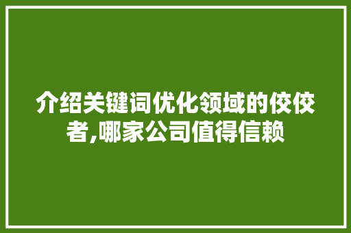 介绍关键词优化领域的佼佼者,哪家公司值得信赖