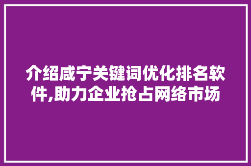 介绍咸宁关键词优化排名软件,助力企业抢占网络市场制高点
