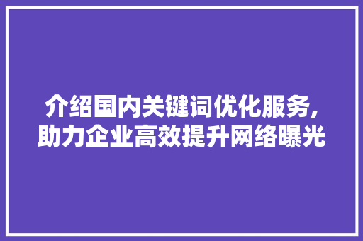介绍国内关键词优化服务,助力企业高效提升网络曝光度