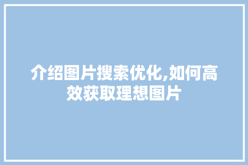 介绍图片搜索优化,如何高效获取理想图片