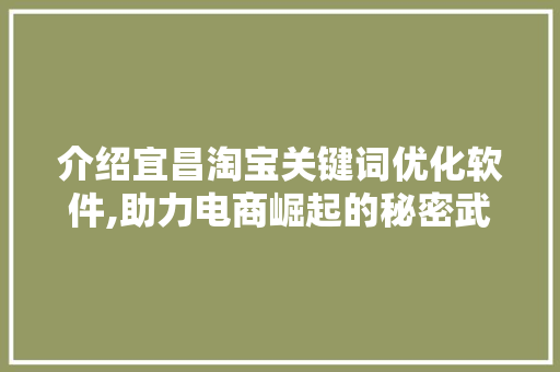 介绍宜昌淘宝关键词优化软件,助力电商崛起的秘密武器