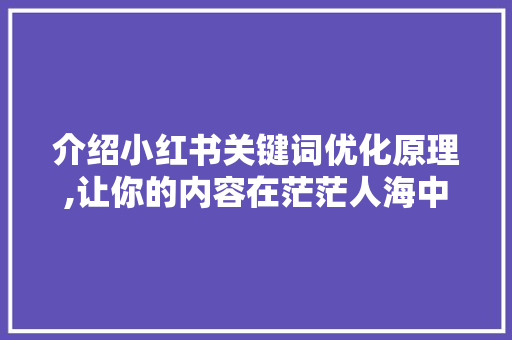 介绍小红书关键词优化原理,让你的内容在茫茫人海中脱颖而出