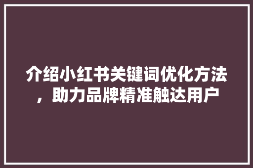 介绍小红书关键词优化方法，助力品牌精准触达用户