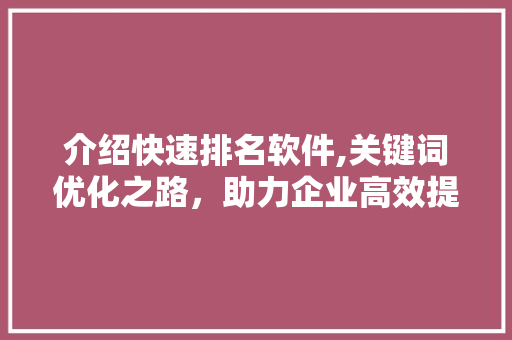 介绍快速排名软件,关键词优化之路，助力企业高效提升网站流量