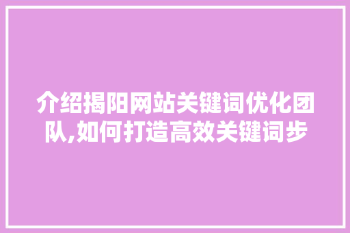 介绍揭阳网站关键词优化团队,如何打造高效关键词步骤