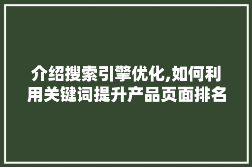 介绍搜索引擎优化,如何利用关键词提升产品页面排名