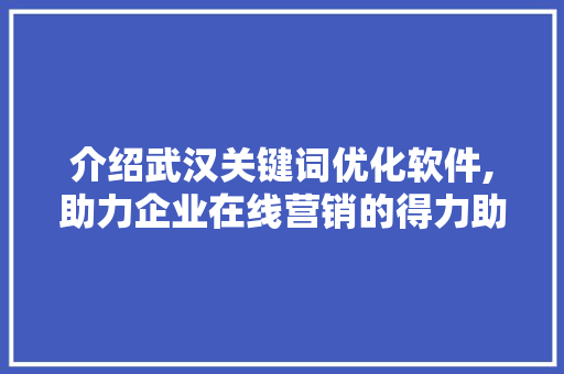 介绍武汉关键词优化软件,助力企业在线营销的得力助手