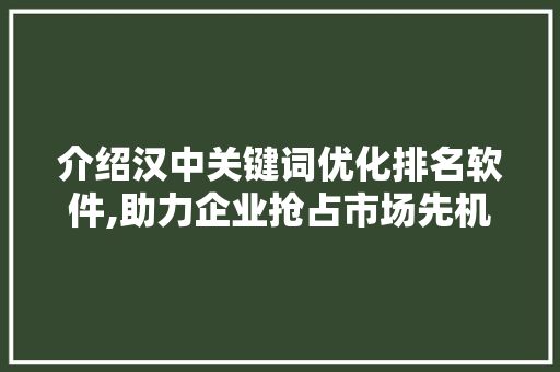 介绍汉中关键词优化排名软件,助力企业抢占市场先机