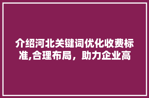 介绍河北关键词优化收费标准,合理布局，助力企业高效营销